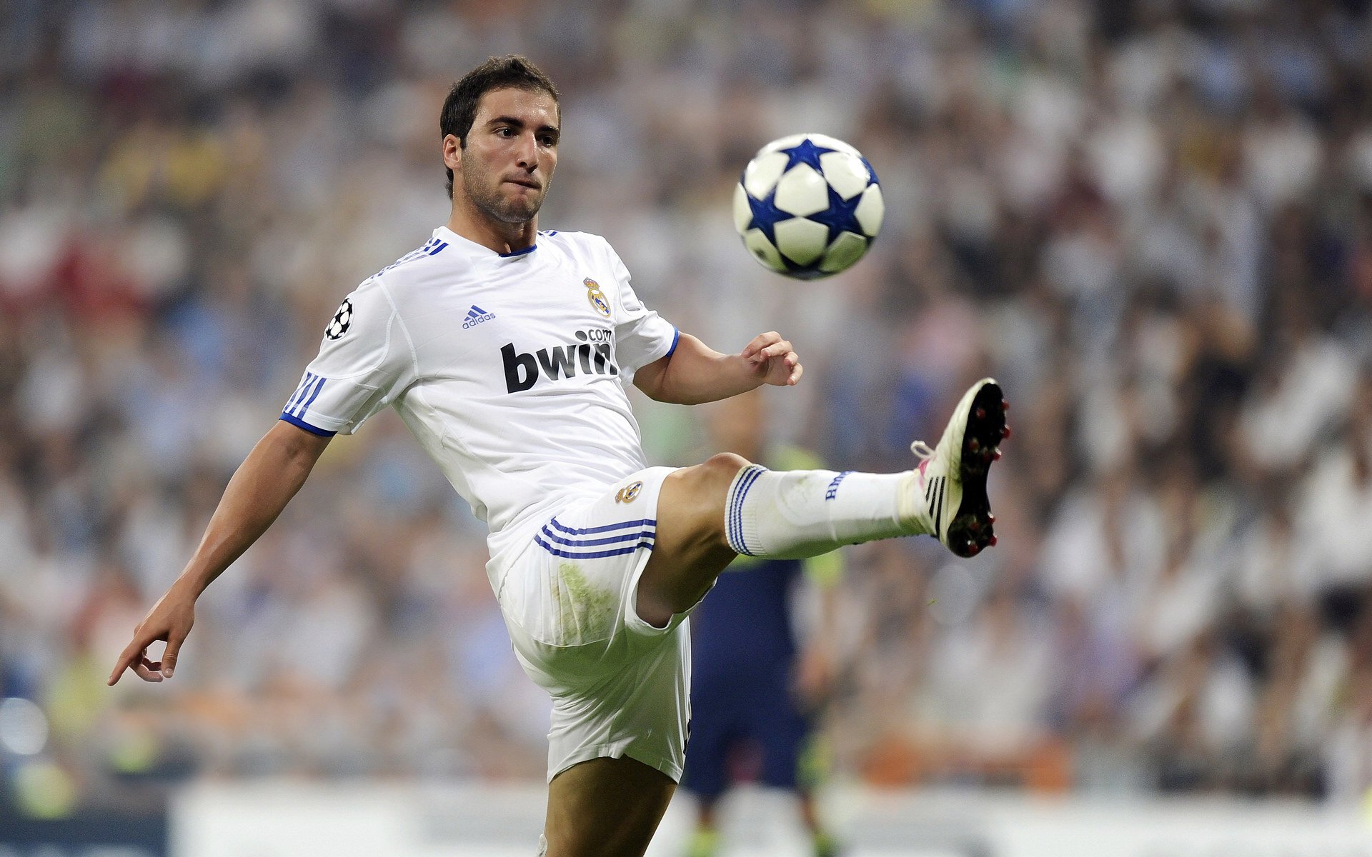 篮球训练营引进专业体能测试设备，体育篮球测试